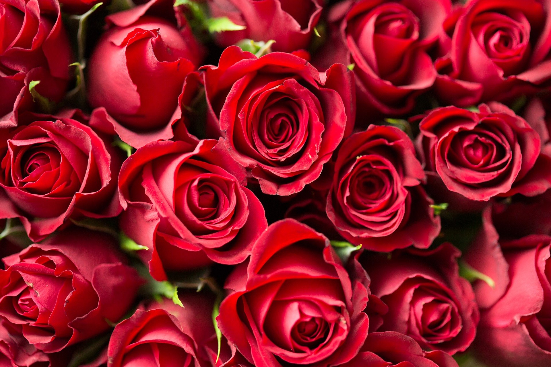 Valentijns foto Valentijns foto